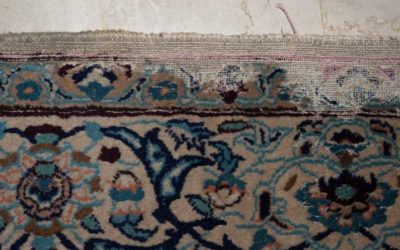 How can I tell if I have moths in my rug?